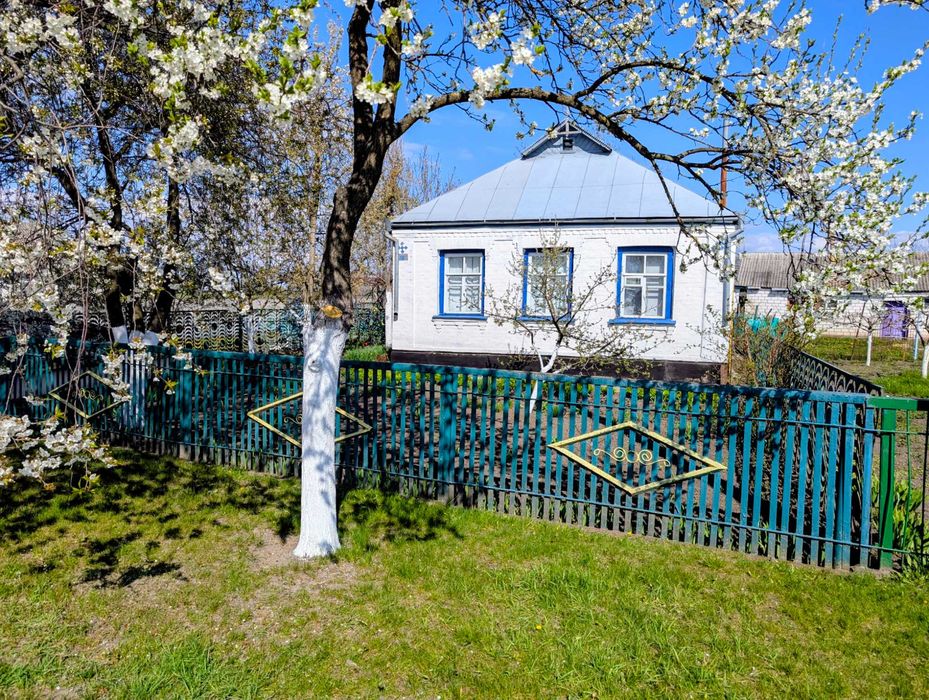 Продається затишний будинок