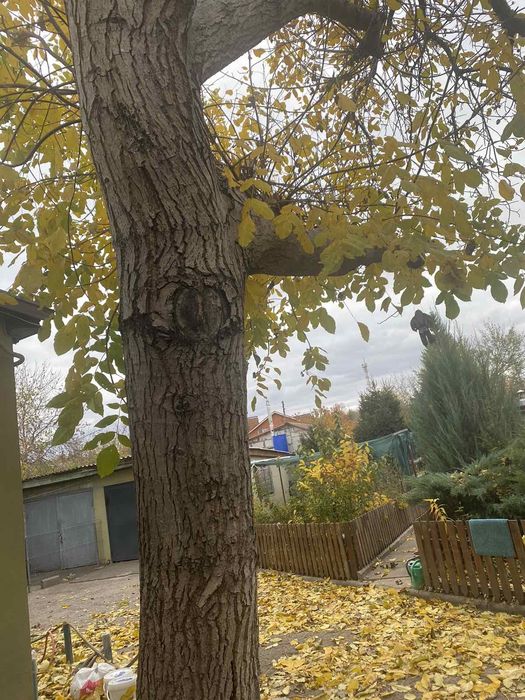 Продам дом Змиев(Е-оселя)