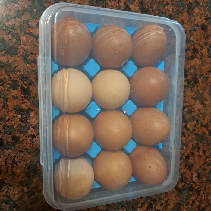 Ovos Caseiros de Galinhas Criadas ao Ar Livre