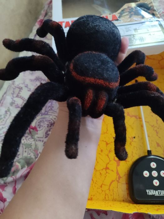 Паук на радиоуправлении