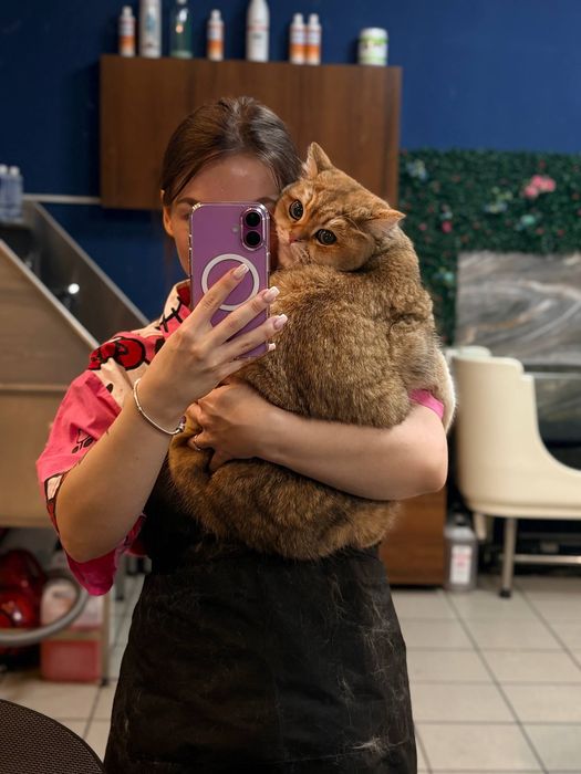 Курси.Навчання на Грумінг Майстра.Чернігів