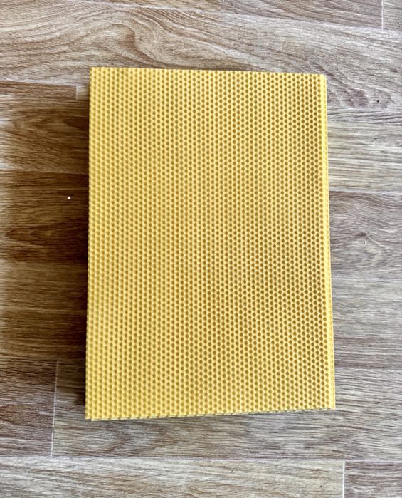 Węza wielkopolska komórka 5,4