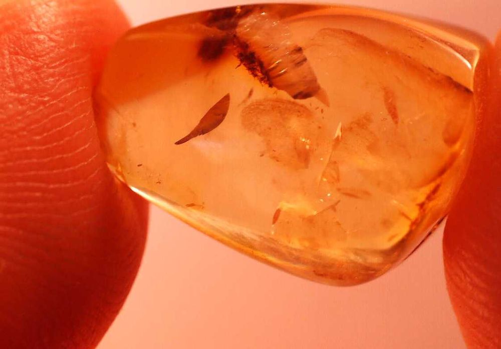 Bursztyn inkluzja pleśń lub coś zbliżonego  oj ciekawa.