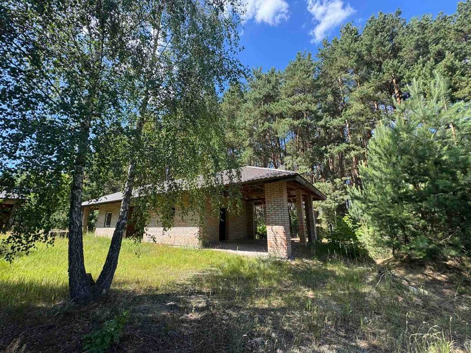 Будинок у сосновому лісі з земельною ділянкою 1 га