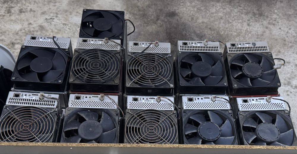Lote 11 Whatsminer M30S+, M30s++ e M50S
