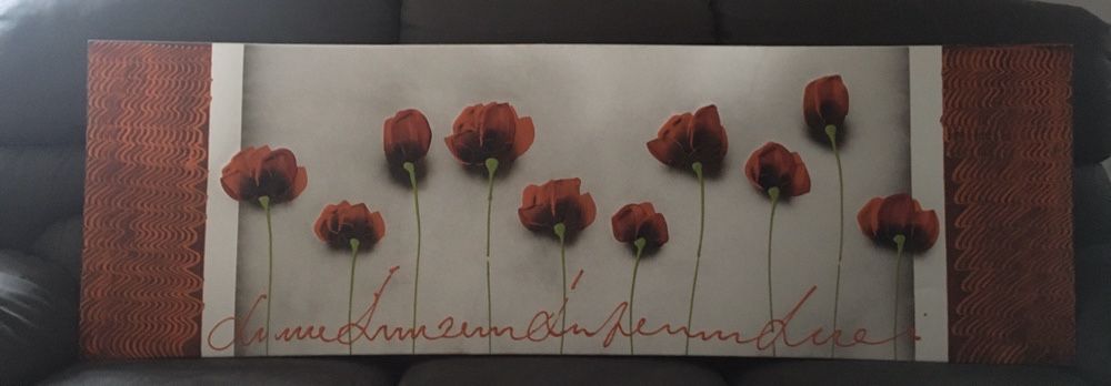 Vendo duas telas bom estado, com desenhoa diferentes