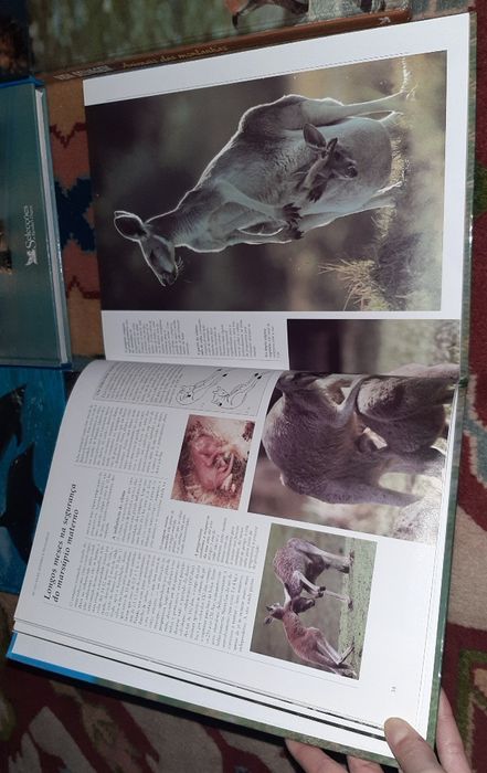 Coleção Vida Selvagem