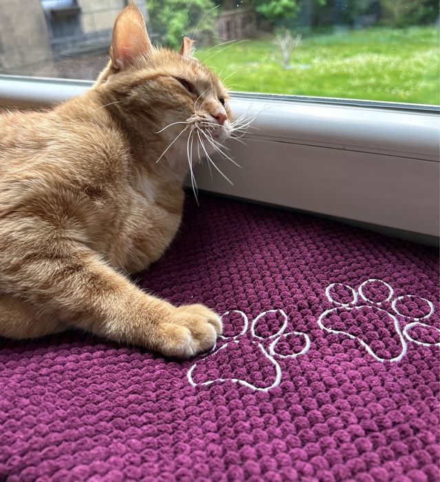 Parapetnik legowisko dla kota psa na parapet