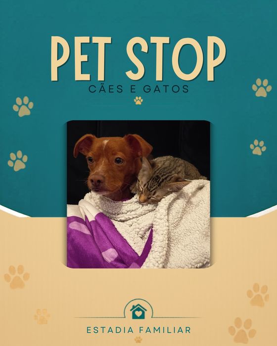 Pet Stop - Estadia Familiar para Cães e Gatos