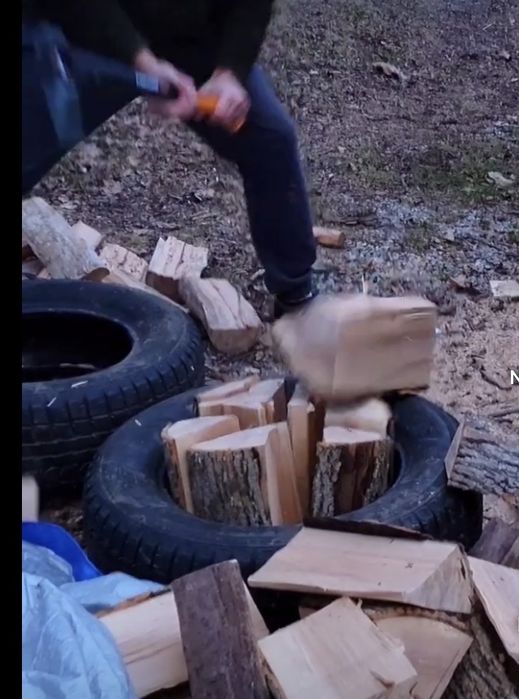 Poda corte e abate de arvores