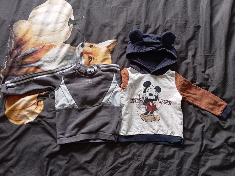 Ciuchy chłopięce rozm. 86/92 (13 szt.)