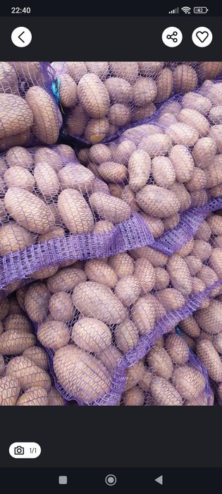 Продам домашнюю картошку.