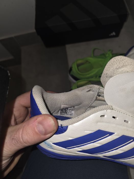 Buty halowe sportowe