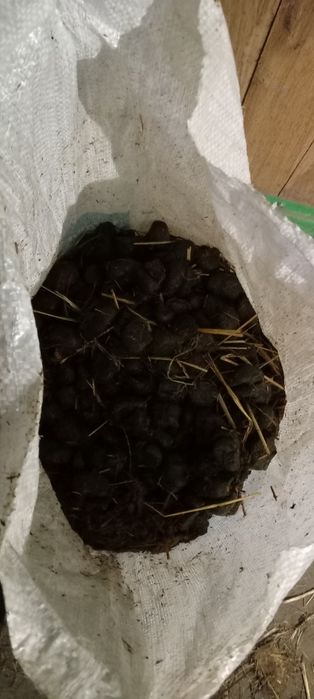 Obornik koński 20kg