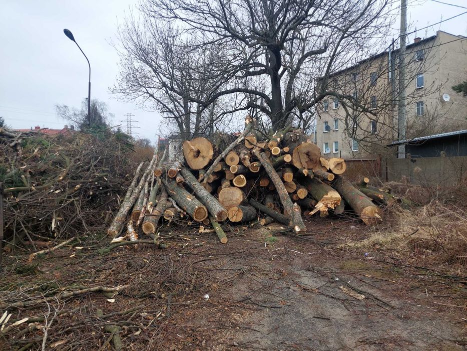 Drewno opałowe mieszane  Jesion Brzoza