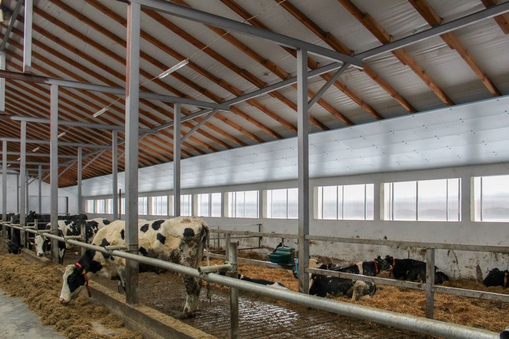 Płyty Styrodurowe XPS AGRO Podsufitka Thermo Ocieplenie Izolacja Dachu