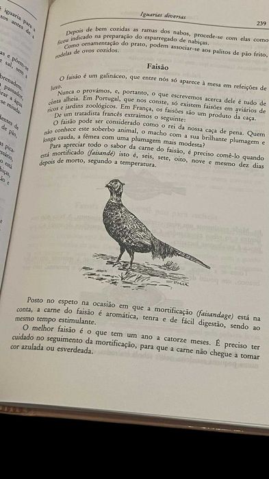 "Tratado Completo de COZINHA e COPA" -> Raridade