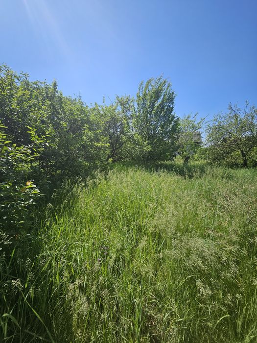 Земельна ділянка 5,5 соток 7000$