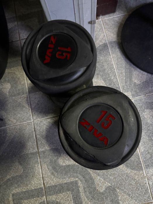 Halteres 15kg ziva