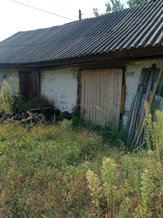 Садиба біля річки Десна. Село Лебедівка.