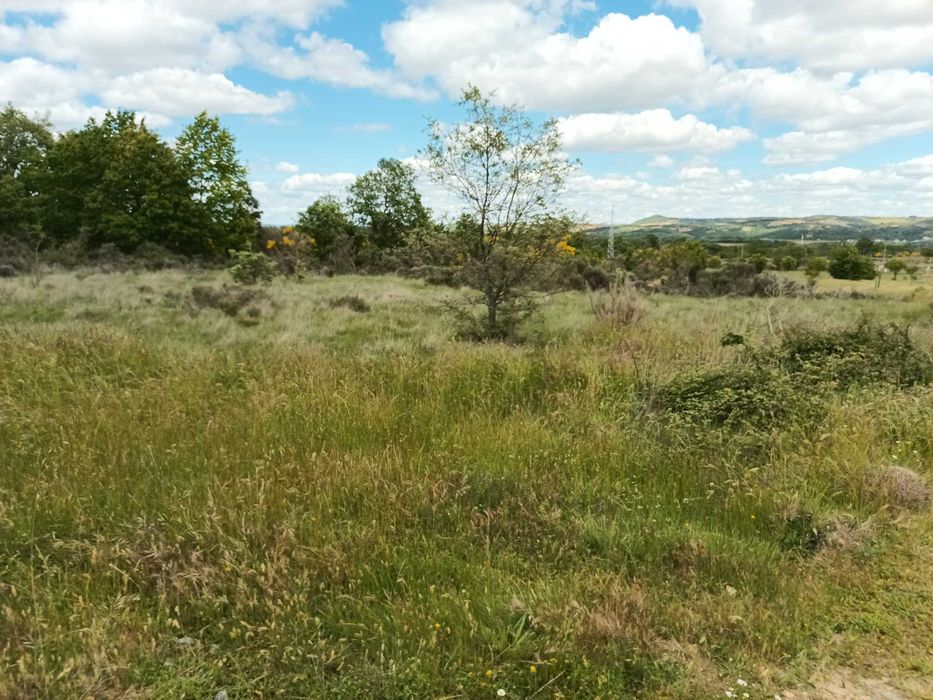 Terreno à venda em Paçó de Mós