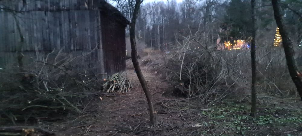Oddam za darmo gałęzie cieńkie i grube, mix.
