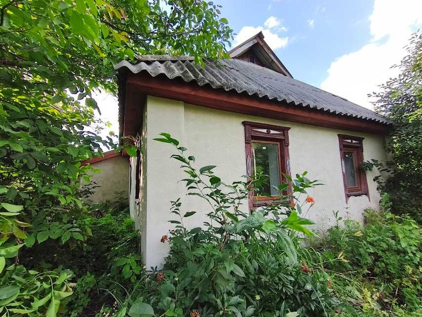 Будинок в селі Томашівка