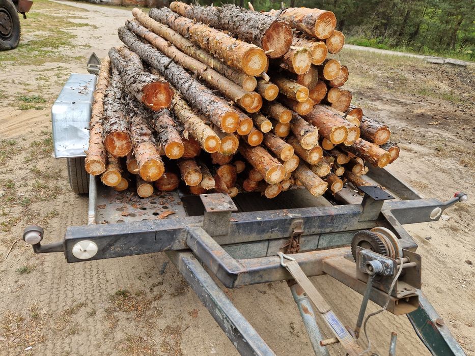 Stemple budowlane sosnowe