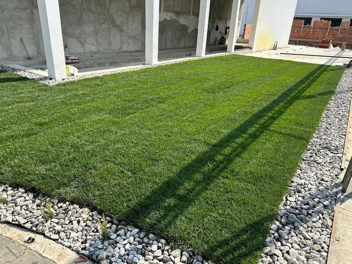 Relva natural tapete, sintética,jardins,piscinas,pedreiro,canalizador
