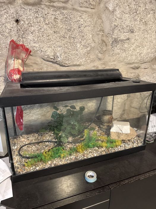 Aquario com decoraçao