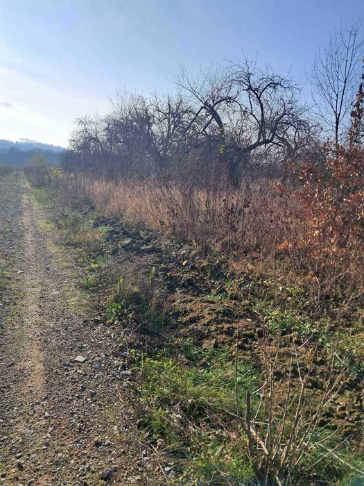 Продаж земельної ділянки під забудову в с.Бохоники 0962