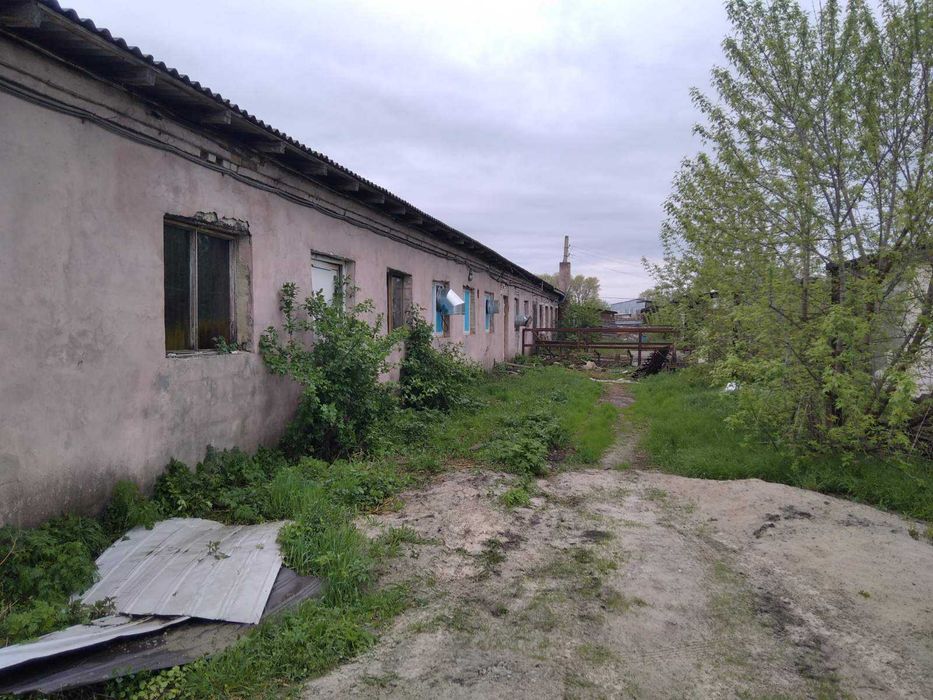 Оренда ферми з обладнанням і опаленням у Броварському районі