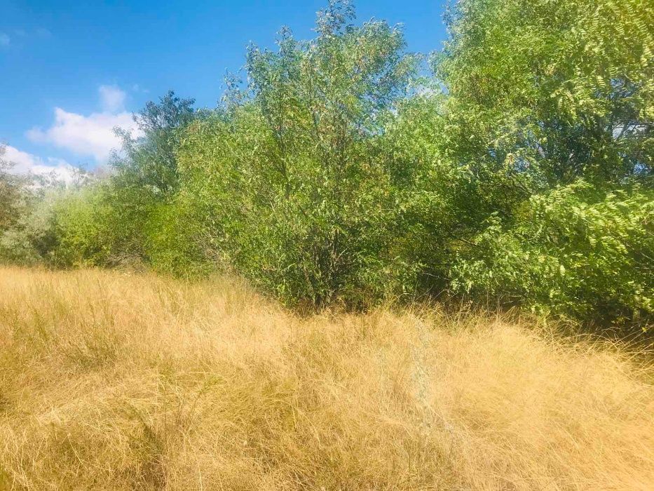 Продам земельный участок в с. Григоровка, собственник!