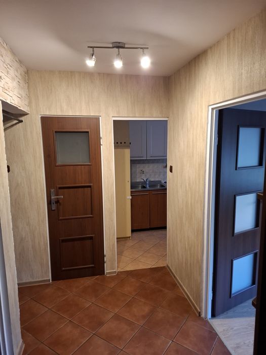 Mieszkanie na wynajem