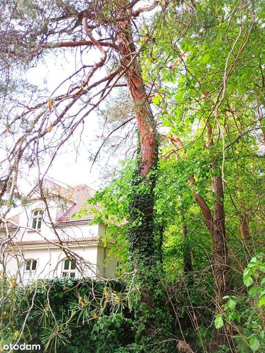 Wawer. Prestiżowa okolica - Widok 2