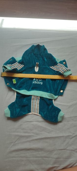 Одяг та намордник для собак