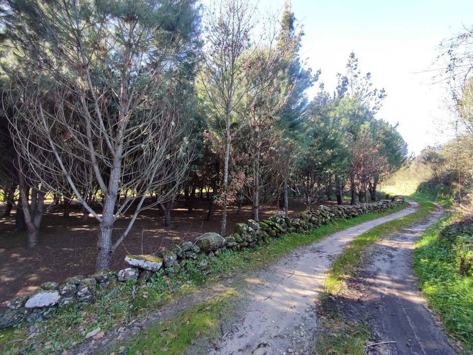 Vendo Terrenos - Vários