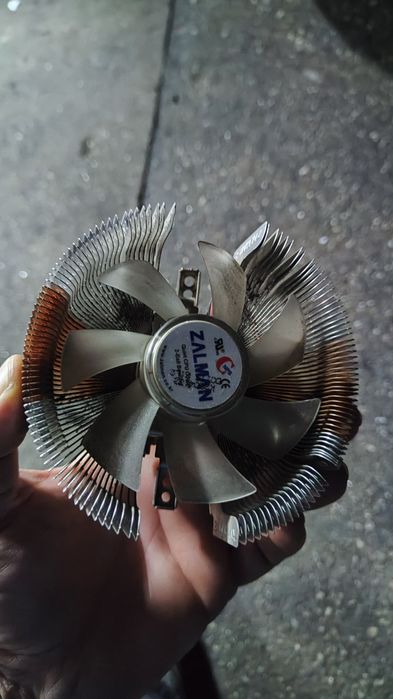 Comer zalman como novo