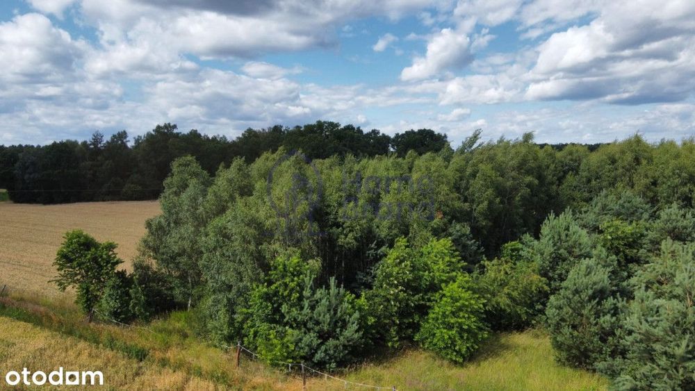Działka budowlana 1480 m2 | Drołtowice