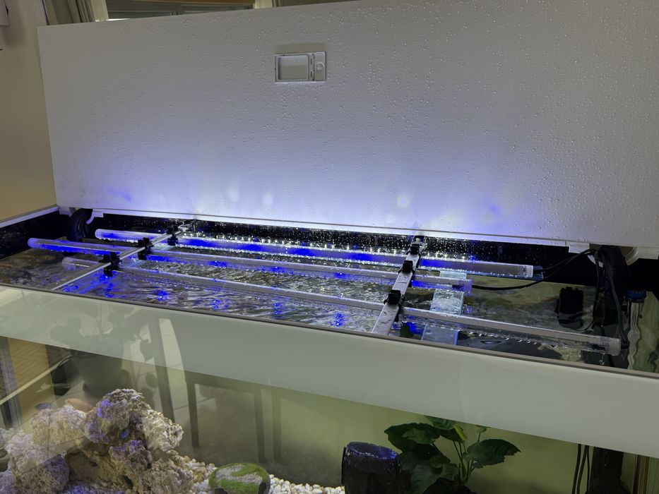 Aquario Aquael Gloss 150