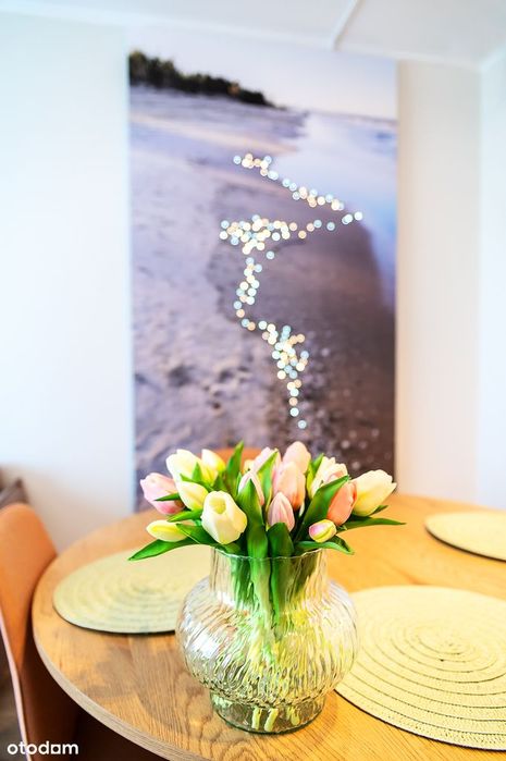 Apartament Premium w Pino Resort na wynajem I Basen I Sauna
