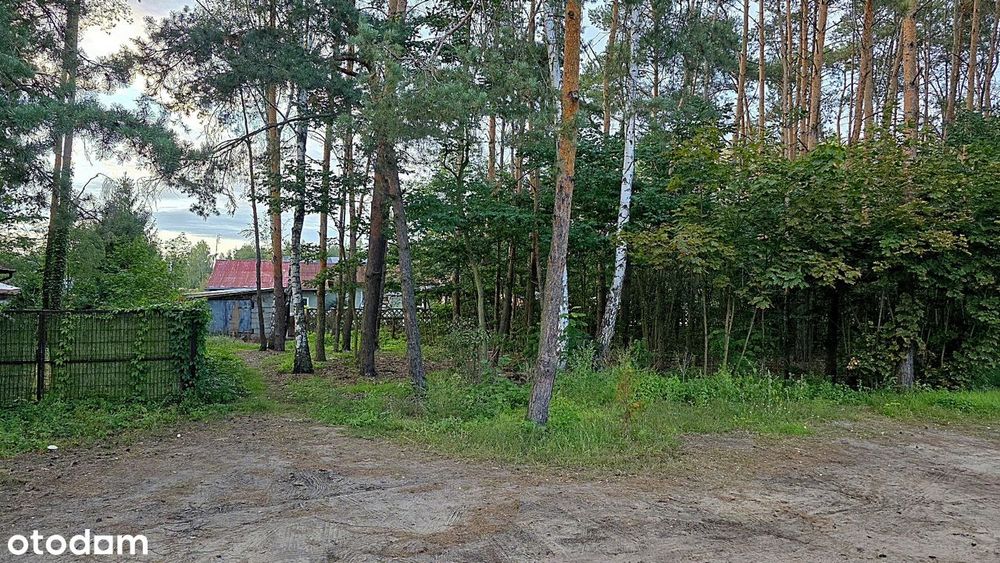Zdjęcie 5