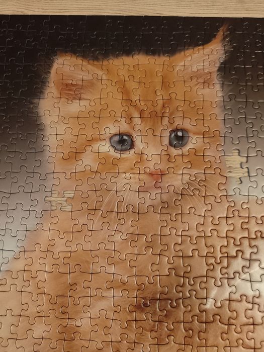 Puzzle 2x1000 sztuk Trefl