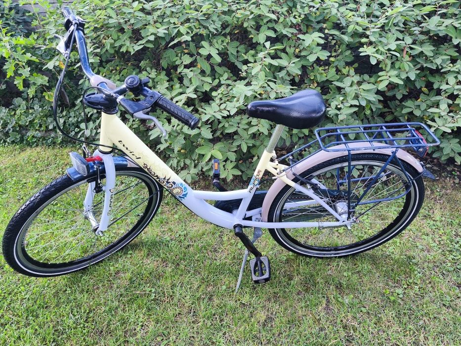 Rower Alpina 24 cali