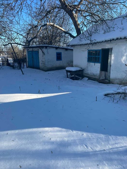 Продам будинок в затишному селі Київської області село Розумниця