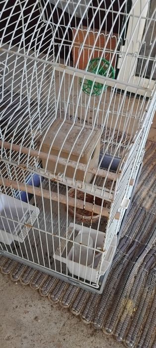 Gaiola para pássaro