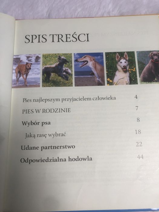 Wielka encyklopedia Psy zdrowie