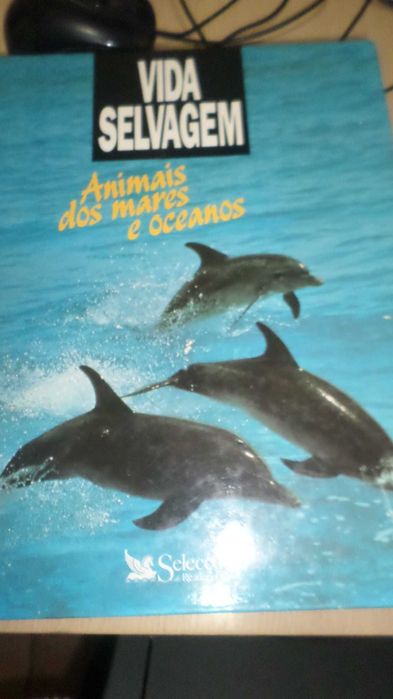 Vida selvagem / animais da savana + animais do oceano