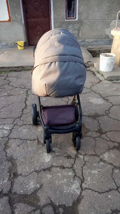 Коляска Adamex cortina