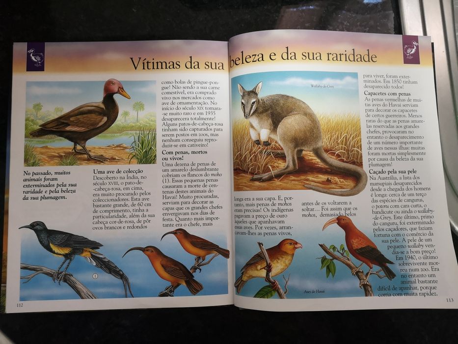 Livro dinossauros e animais desaparecidos